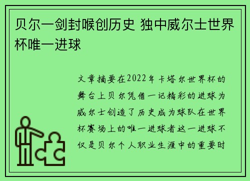 贝尔一剑封喉创历史 独中威尔士世界杯唯一进球